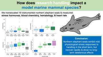 Physiological effects of research handling on the northern elephant seal (Mirounga angustirostris)