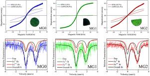 Asperomagnetism and speromagnetism in magnetic aluminosilicate glasses