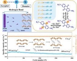 Organic-inorganic hybrids cathode with Hydrogen Bonding Network for highly efficient zinc-ion batteries