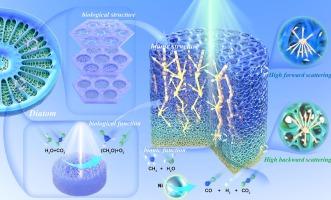 Biomimetic low carbonization efficient solar-driven thermochemical energy storage reactor design inspired by the diatoms’ superior photosynthesis capacity