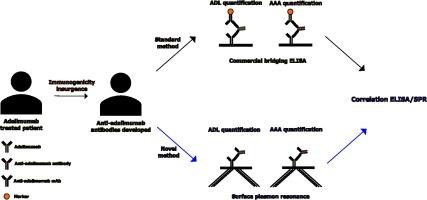 Quantitative evaluation of adalimumab and anti-adalimumab antibodies in sera using a surface plasmon resonance biosensor