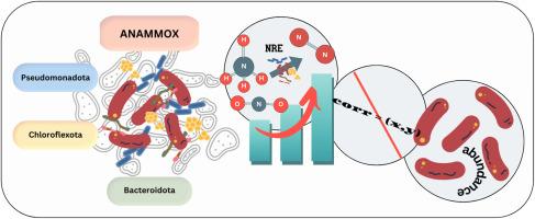 A systematic literature review of microbial anammox consortia in UASB/ EGSB-reactors