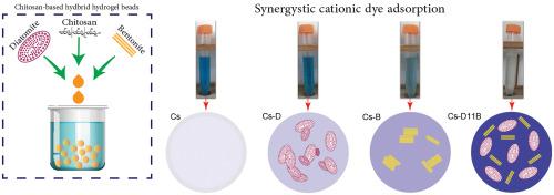 Dispersion-promoted synergistic cationic dye removal through the co-introduction of natural diatomite and bentonite into chitosan-based hydrogel beads