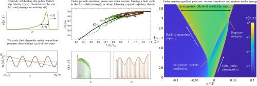 Unsteady slip pulses under spatially-varying prestress