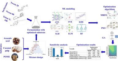 Surfactant-facilitated metabolic induction enhances lipase production from an optimally formulated waste-derived substrate mix using Aspergillus niger: A case of machine learning modeling and metaheuristic optimization