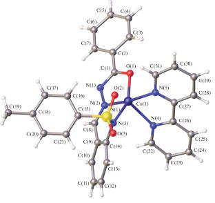 Copper(II) 2-(N-Tosylamino)benzaldehyde Benzoylhydrazone Complexes: Synthesis, Structures, Properties, and Biological Activity