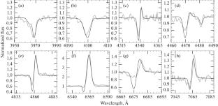 Nature of the Emission Spectrum of NGC 7793 P13: Modeling the Atmosphere of the Donor Star