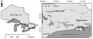 Modeling future dissolved oxygen and temperature profiles in small temperate lake trout lakes