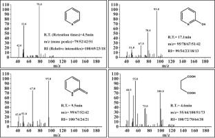 Degradation of Typical Nitrogen-Heterocyclic Compounds in Coal Gasification Wastewater via Catalytic Ozonation Processes