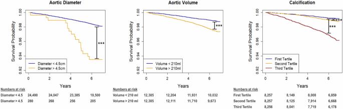 Deep learning to predict cardiovascular mortality from aortic disease in heavy smokers