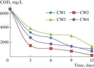 Treatment of Simulated Dumpsite Leachate Using Fly Ash in the Constructed Wetland