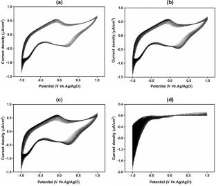 Electrochemical-induced morphological formation and optical properties of p-type silicon wafer