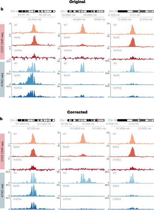 Author Correction: Systematic assessment of ISWI subunits shows that NURF creates local accessibility for CTCF