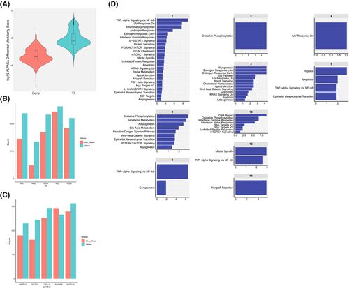 In silico and functional analysis identifies key gene networks and novel gene candidates in obesity-linked human visceral fat