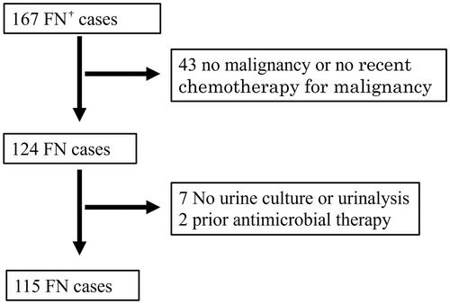 Impact of urinary culture on diagnosis and treatment strategy after empiric therapy in febrile neutropenic patients