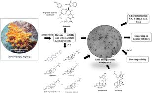 Synthesis and in vitro assessment of gold nanoparticles conjugated with extracts, sterols and pure compounds derived from marine sponges from the Indian and Pacific Oceans†