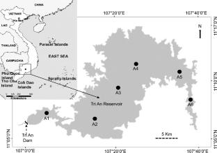 Do diatom and nematode assemblages reflect the same ecological status in a tropical eutrophic reservoir?