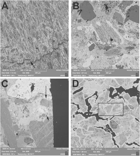 Neogene Hydrothermal Fe- and Mn-Oxide Mineralization of Paleozoic Continental Rocks, Amerasia Basin, Arctic Ocean