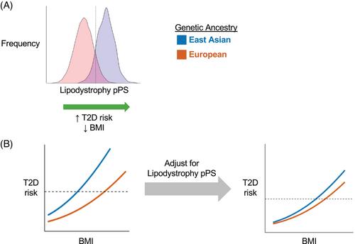 Genetic variants explain ancestry-related differences in type 2 diabetes risk