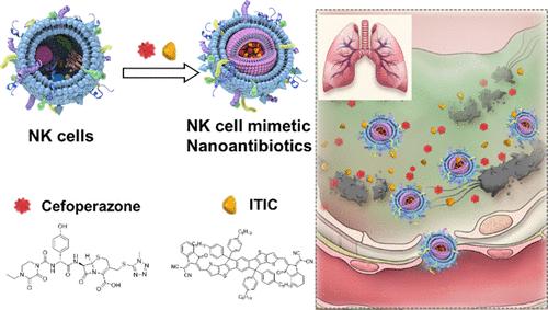 Mucus-Penetrable Biomimetic Nanoantibiotics for Pathogen-Induced Pneumonia Treatment