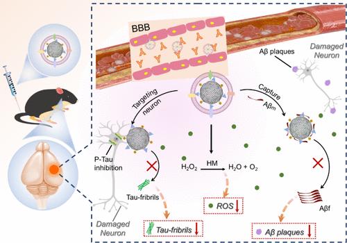 Inhibition of Aβ Aggregation and Tau Phosphorylation with Functionalized Biomimetic Nanoparticles for Synergic Alzheimer’s Disease Therapy