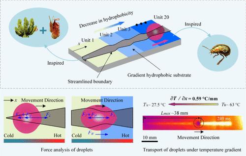 Gradient-Wettable Multiwedge Patterned Surface for Effective Transport of Droplets against the Temperature Gradient