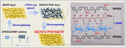 Electrospun Sulfonated Poly(ether ether ketone) and Chitosan/Poly(vinyl alcohol) Bifunctional Nanofibers to Accelerate Proton Conduction at Subzero Temperature