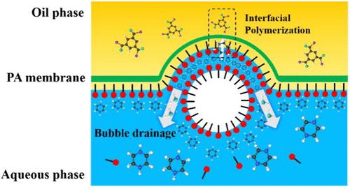 Bubble Drainage Assisted Fabrication of Polyamide Membranes with Crater-like Structures for Efficient Desalination