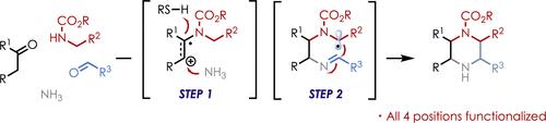 Programmable Piperazine Synthesis via Organic Photoredox Catalysis