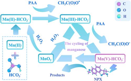 Highly Efficient Degradation of Emerging Contaminants with Sodium Bicarbonate-Enhanced Mn(II)/Peracetic Acid Process: Formation and Contribution of Mn(V)