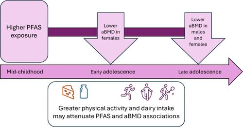 Mid-Childhood Plasma Concentrations of Per- and Polyfluoroalkyl Substances, Modifiable Lifestyle Factors, and Bone Mineral Density Through Late Adolescence