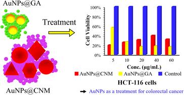 Green synthesis, characterization, morphological diversity, and colorectal cancer cytotoxicity of gold nanoparticles†