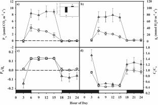 The C3-CAM shift is crucial to the maintenance of the photosynthetic apparatus integrity in Pereskia aculeata under prolonged and severe drought