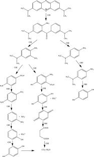 Functionalising Pinus roxburghii Biochar with Mg–Fe-LDH for Effective Organic Pollutant Mitigation in Wastewater