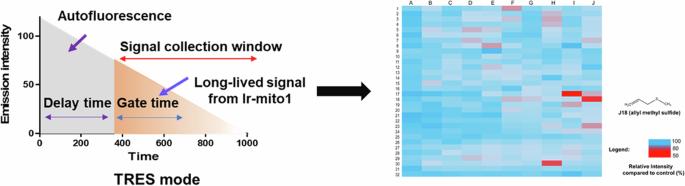 An iridium(III) complex-based luminogenic probe for high-throughput screening of hydrogen sulfide donors in living cells