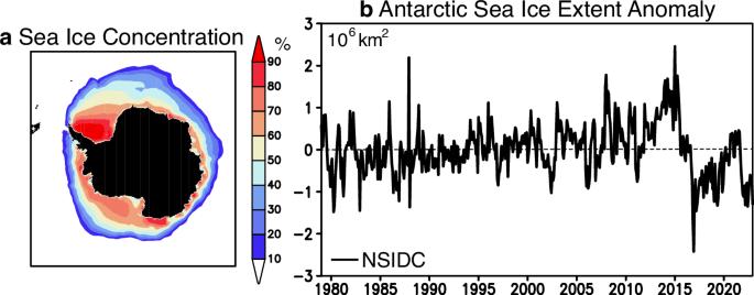 Antarctic sea ice multidecadal variability triggered by Southern Annular Mode and deep convection