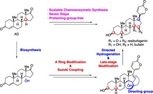 Scalable Protecting-Group-Free Total Synthesis of Resibufogenin and Bufalin