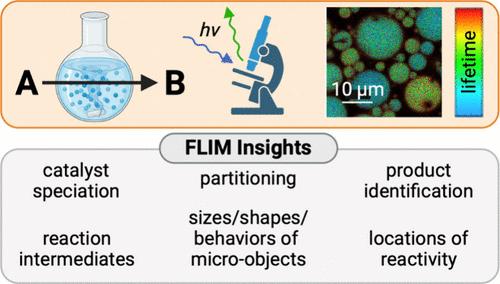 Fluorescence Lifetime Imaging Microscopy (FLIM) as a Tool to Understand Chemical Reactions and Catalysis