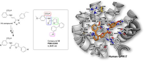 Discovery of Anthranilic Acid Derivatives as Antagonists of the Pro-Inflammatory Orphan G Protein-Coupled Receptor GPR17