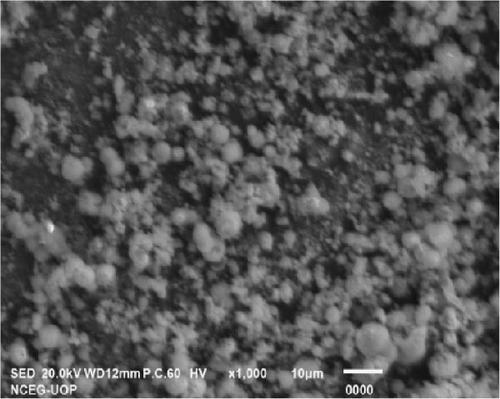 Effect of Nystatin Coated Copper Oxide (CuO) Particles on Mechanical, Thermal, and Antifungal Properties of Polymethyl Methacrylate (PMMA)–Based Denture Materials