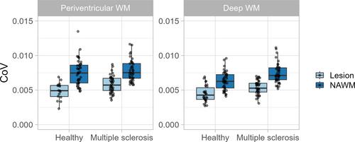 Non-invasive Assessment of Cerebral Hemodynamics Using Resting-State Functional Magnetic Resonance Imaging in Multiple Sclerosis and Age-Related White Matter Lesions