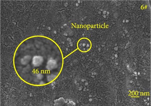 Performance Study and Formulation Optimization of Rapid-Curing Local Insulating Spray Coating Materials