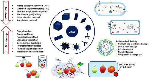 Zinc oxide nanomaterials: Safeguarding food quality and sustainability