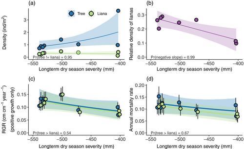 Liana versus tree seedling responses to spatial and temporal variation in dry season severity