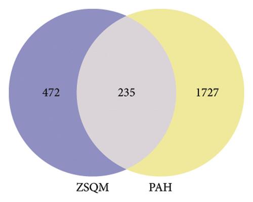 Zang Siwei Qingfei Mixture Alleviates Pulmonary Arterial Hypertension in Rats: Integrated Network Pharmacology and Metabolomics