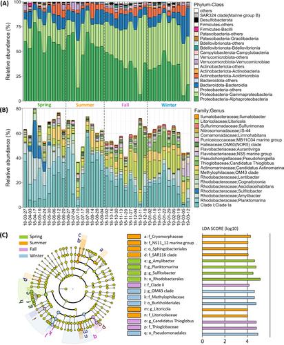 Seasonal dynamics of bacterial community structure and function in the surf zone seawater of a recreational beach in Ostend, Belgium