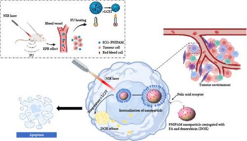 Macromolecular Poly(N-isopropylacrylamide) (PNIPAM) in Cancer Treatment and Beyond