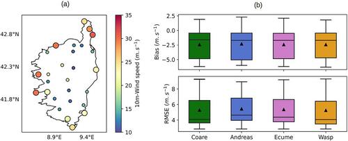 Impact of Surface Turbulent Fluxes on the Formation of Roll Vortices in a Mediterranean Windstorm