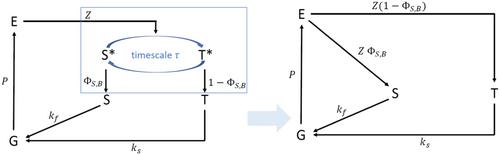 Numerical and analytical inspection of magnetic field effects in the radical pair mechanism by a simplified rate equation model