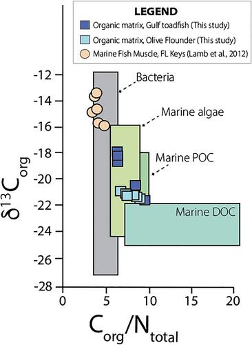 Organic Coatings Reduce Dissolution Rate by an Order of Magnitude for Carbonate Minerals Produced by Marine Fish